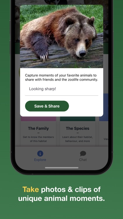 zoolife - Watch Animals Live screenshot-4