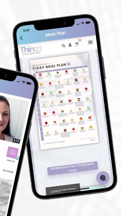 Thinco Screenshot