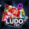 Icon Ludo Pro 2023