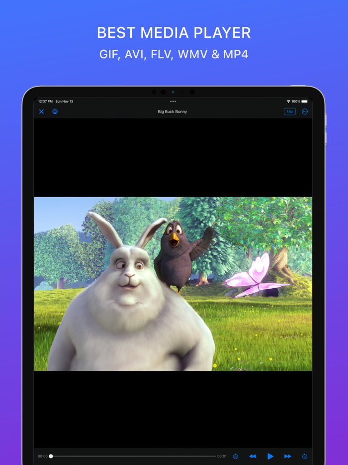 MaxVault - Photo and Video Vault