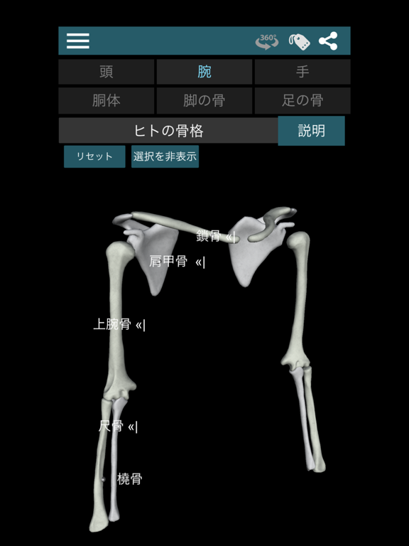 3D人骨（解剖学）のおすすめ画像2