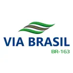 VIA BRASIL BR-163 App Negative Reviews