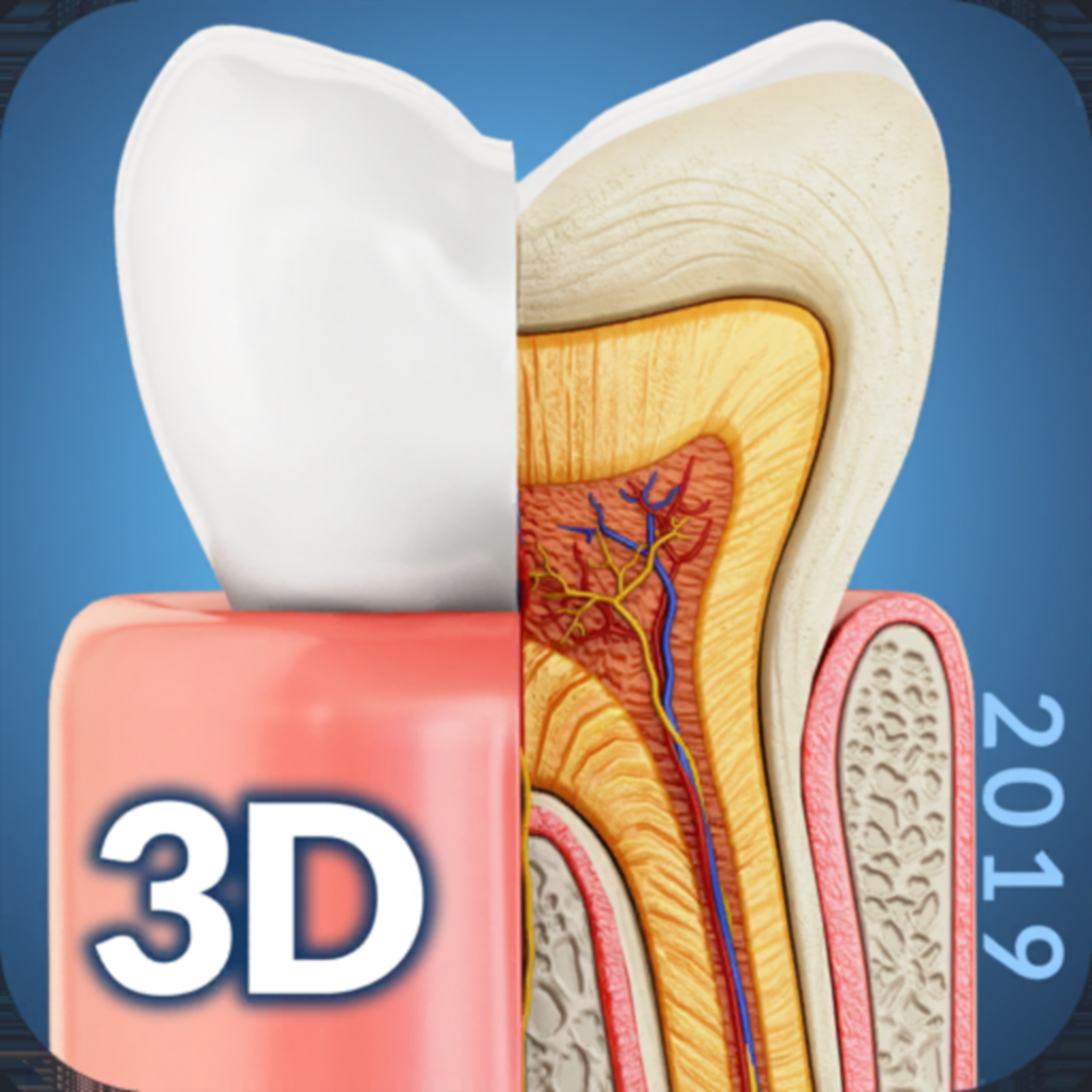 Get My Dental Anatomy for iOS, iPhone, iPad Aso Report