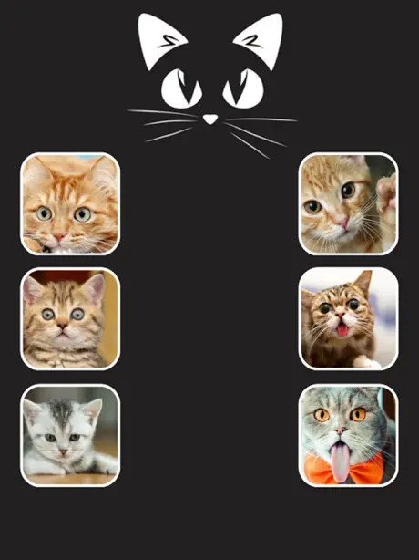 Call Cat 2