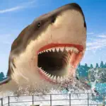 Shark Hunting Games: Sniper 3D App Contact
