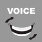 Voice Changer - Change a voice app download