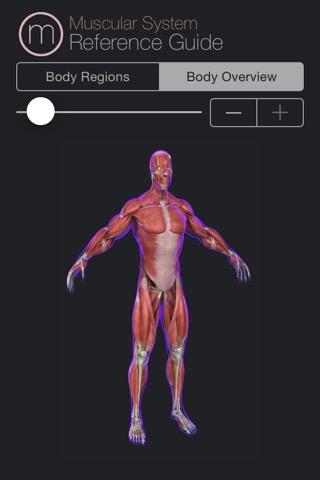 Human Muscular System Guideのおすすめ画像5