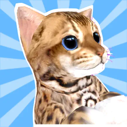 Kitty Cat Care Читы