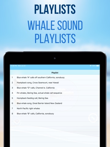 Whale Radio iPad screenshot