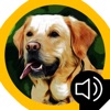 Dogs Barking by Breed icon