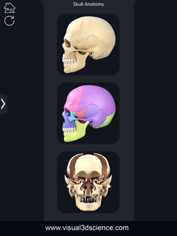 My Skull Anatomyのおすすめ画像1