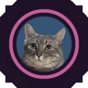 Smokey's Rescue Team