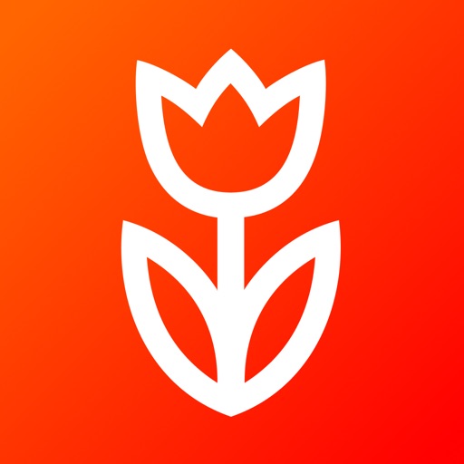 Flowwow: flowers & gifts shop Icon