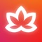 Meditative Mind app brings the best meditation music & chants for chakra healing, sound therapy and yoga practice through music