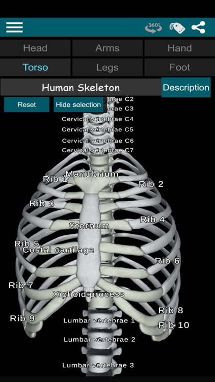 Bones 3D (Anatomy) screenshot-3