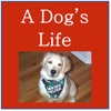 Dog's Life - Double Solitaire icon