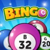 Catch Bingo Collector icon