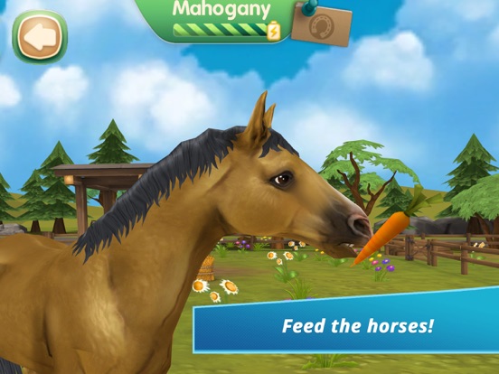 Horse Hotel - care for horses iPad app afbeelding 6