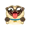 Pug Dog Emoji Funny Stickers Positive Reviews, comments