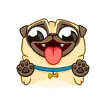 Pug Dog Emoji Funny Stickers App Contact