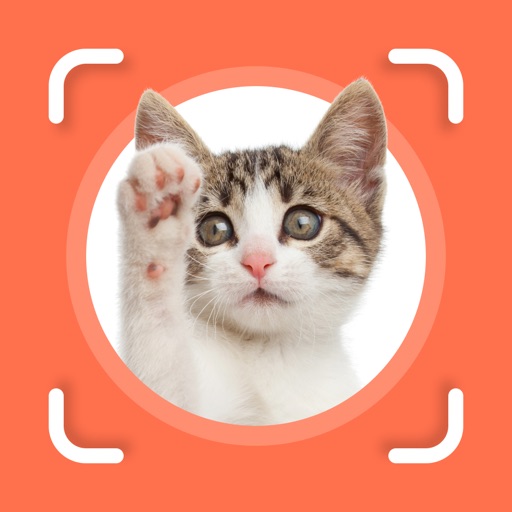 Cat Identifier - Cat Scanner iOS App