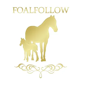 FoalFollow kundeservice