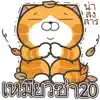 Lan Lan Cat 20 (Thailand) App Support