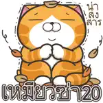 Lan Lan Cat 20 (Thailand) App Cancel