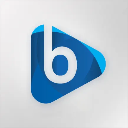 Borfin Читы