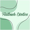 Flatbush Exotics icon