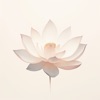 One Minute Meditations icon