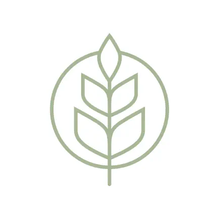 Patterson Park Church Cheats