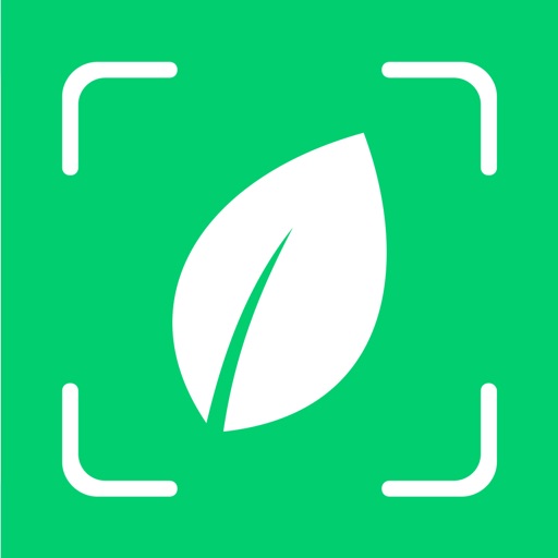 Plantyx: определитель растений