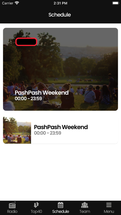 PashPash Radio Screenshot