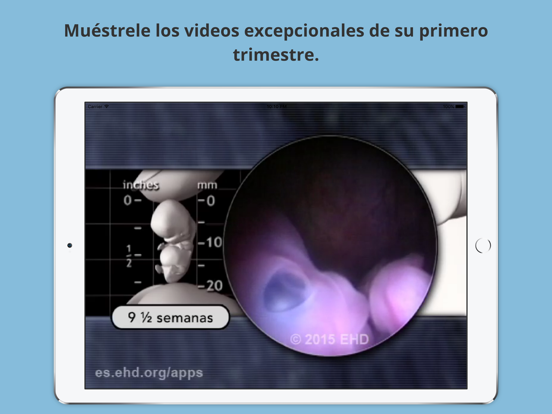 Screenshot #5 pour Guía de embarazo Little One