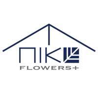 NIKO FLOWERS