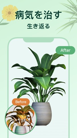 PlantNow-植物の識別のおすすめ画像2