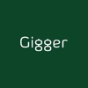 Logicspice Gigger icon