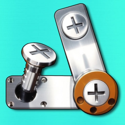 Screw Puzzle Nuts & Bolts Game