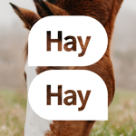 HayHay: För häst & ridning на пк