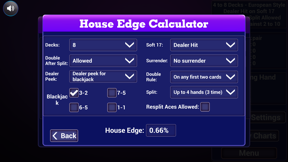 Blackjack Trainer: All in one screenshot