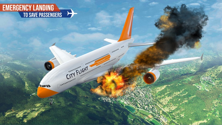 Airplane Pilot Flight: 3D Game screenshot-4