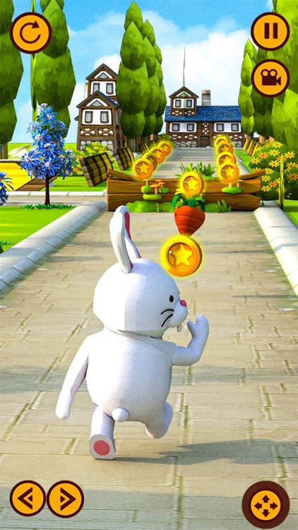 Rabbit Runner Pet Running game