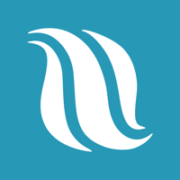 Mechanic Falls Vineyard