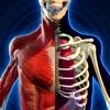 Anatomy Atlas & Human Biology