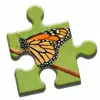 Colorful Butterflies Puzzle problems & troubleshooting and solutions