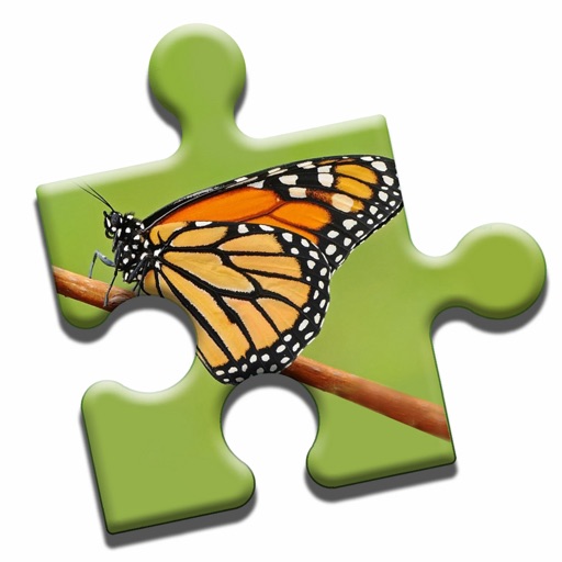 Colorful Butterflies Puzzle icon