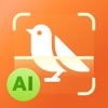 BirdScan - Identify Bird icon
