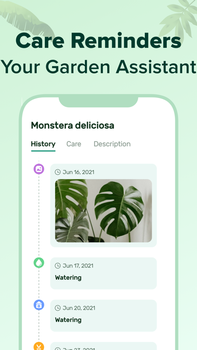PlantNow-Plant Identification Screenshot