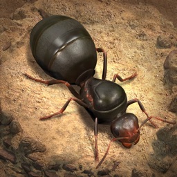 The Ants: Underground Kingdom 상